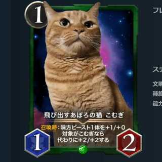 飛び出すあぽろの猫 こむぎ