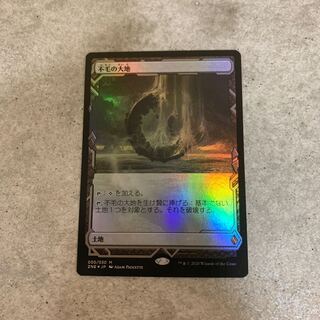 foil 不毛の大地　ZNE
