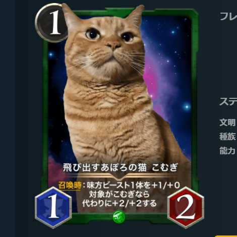 飛び出すあぽろの猫 こむぎ