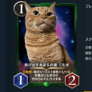 飛び出すあぽろの猫 こむぎ