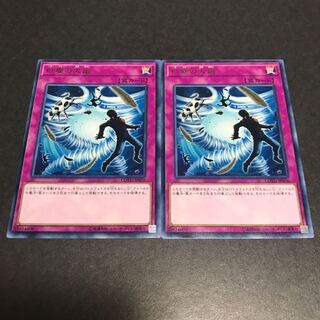 Heavy Storm Duster Rare