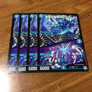 スクアーロ  エナジーライト　4枚