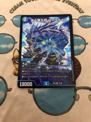 水上第九院 シャコガイル １枚