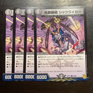 Light Lion Connection Shaulaiger