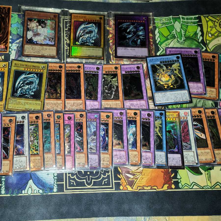 ミドリショップ様 10口分