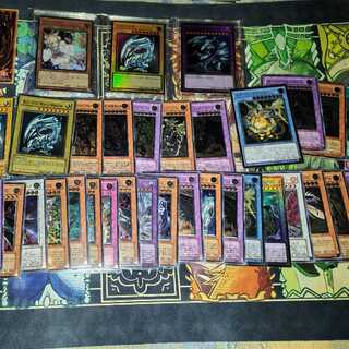 ミドリショップ様 10口分