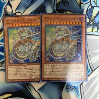 アークネメシス・プロートス　