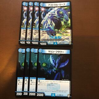 アストラル・リーフ　マリン・フラワー