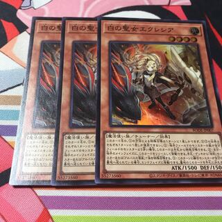 白の聖女エクレシア