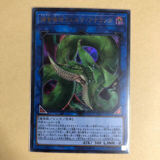 捕食植物ヴェルテアナコンダ ウルトラ