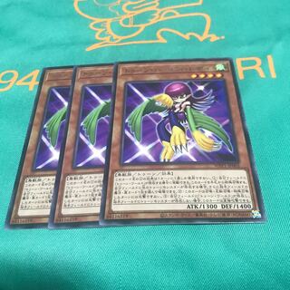 【森林ねこ】トゥーン・ハーピィ・レディ レア　3枚　 3枚