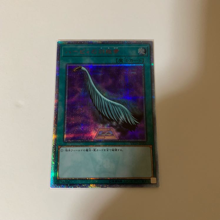 ハーピィの羽根箒 20th