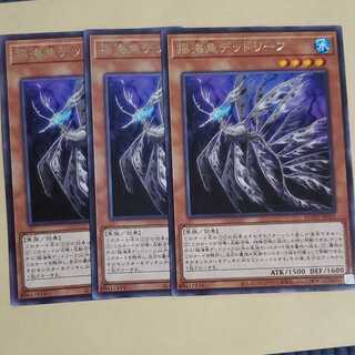 揺海魚デッドリーフ　3枚