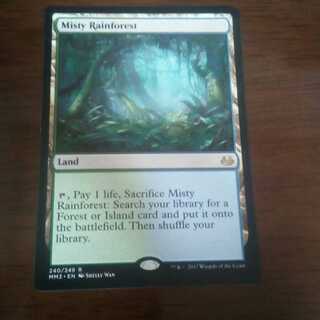 Misty Rainforest Lowest price