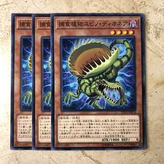 捕食植物スピノ・ディオネア ノーマル