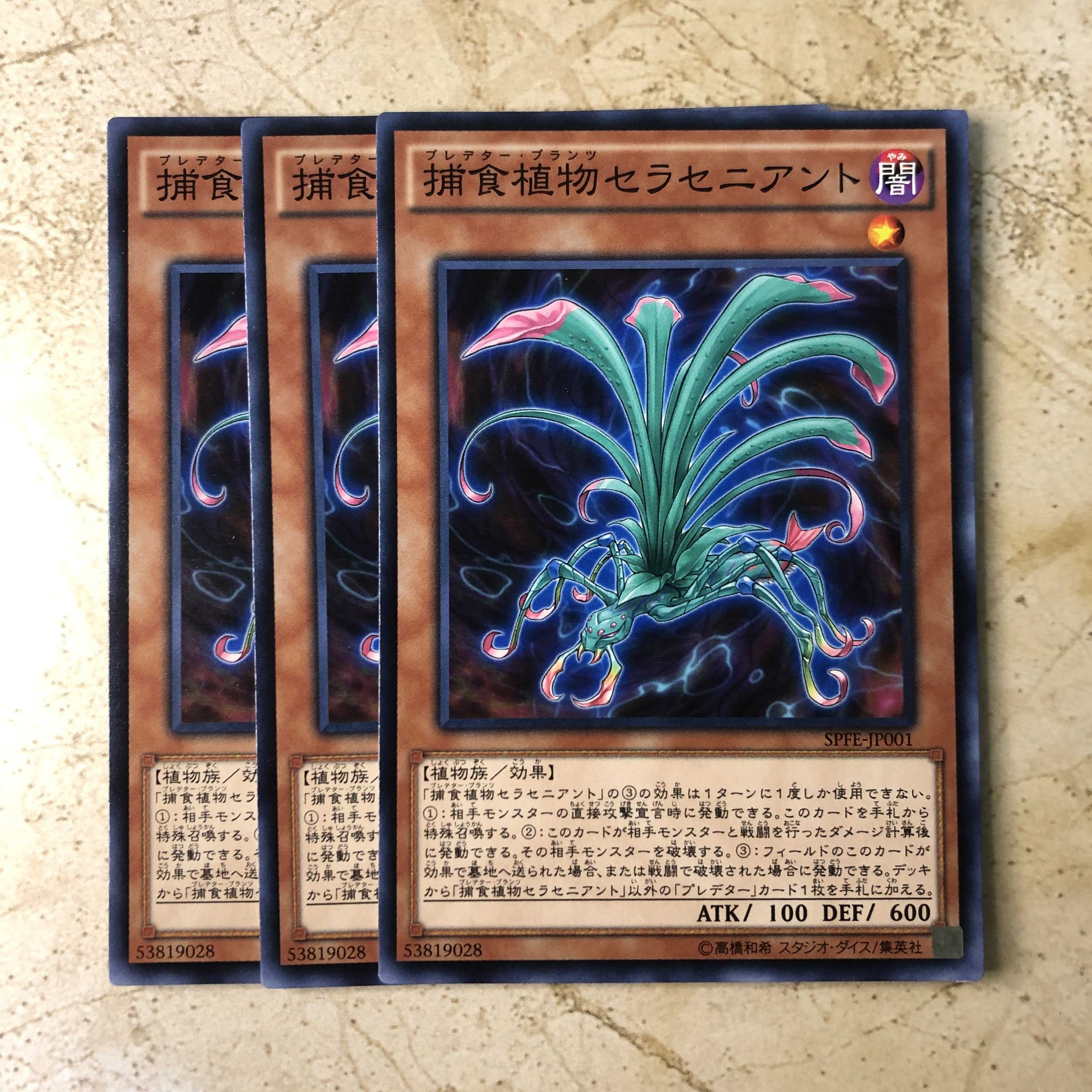 捕食植物セラセニアント ノーマル JP001 SPFE