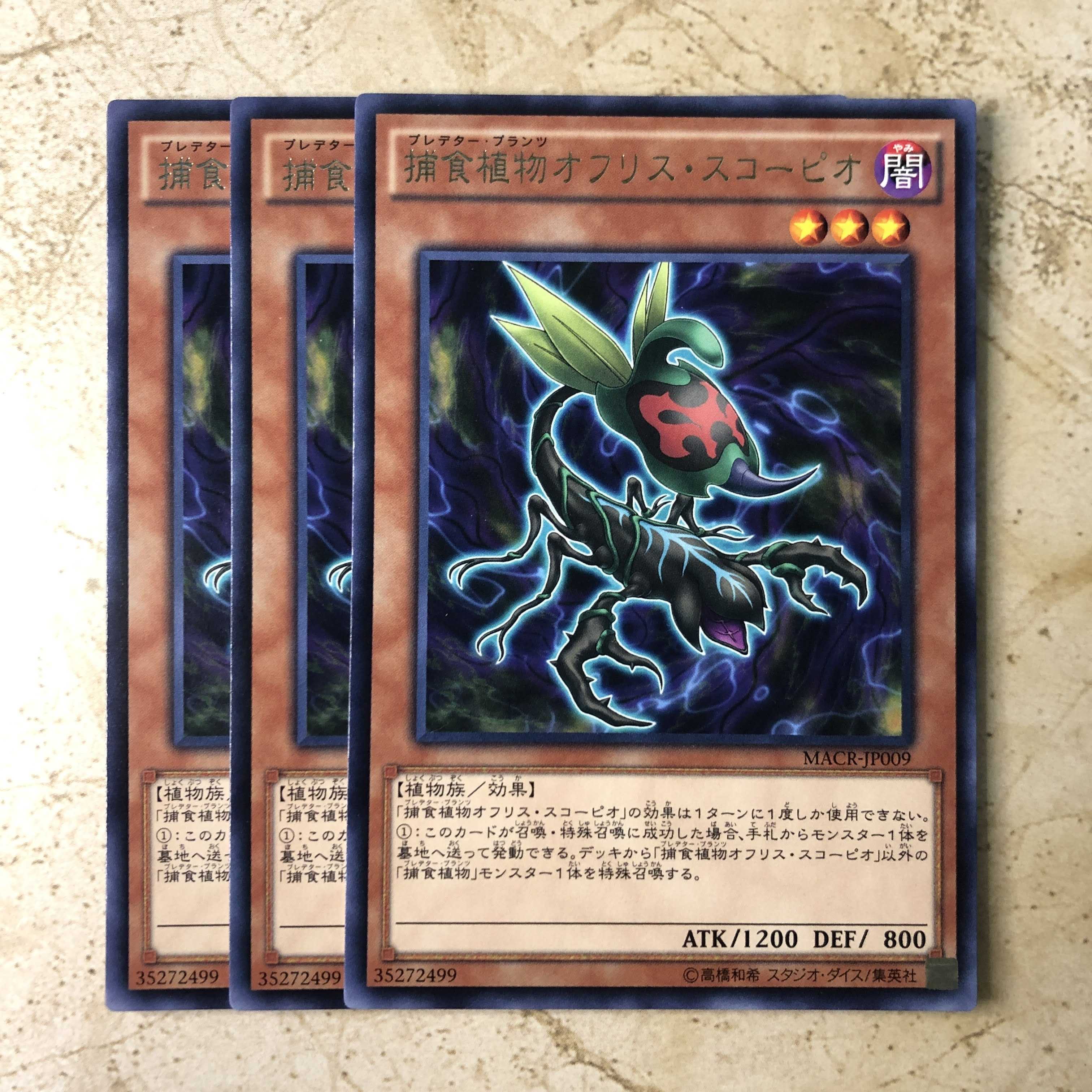 捕食植物オフリス・スコーピオ レア JP009 MACR