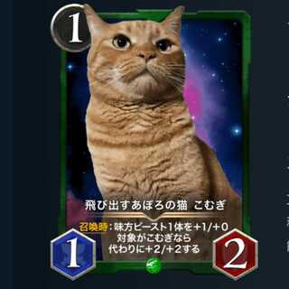 飛び出すあぽろの猫 こむぎ