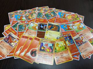 大量のヒトカゲ　50枚くらい