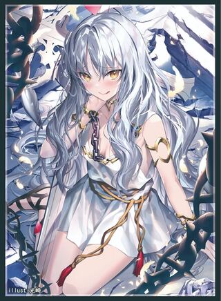 「Fate」カレン スリーブ 新品未開封