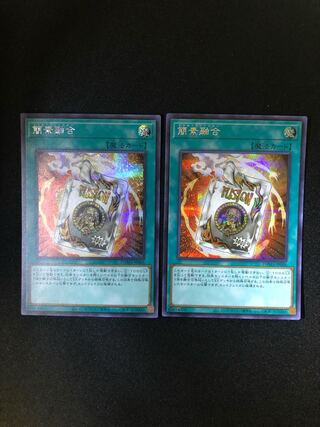 簡素融合　2枚セット　SE