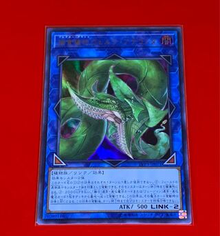 捕食植物ヴェルテ・アナコンダ  壱  UR ウルトラ