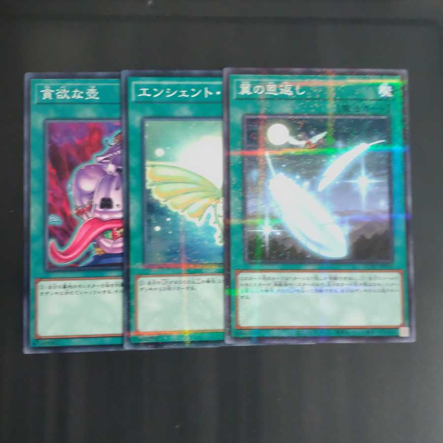 ゴリゴリドローソース3選 【木林堂】