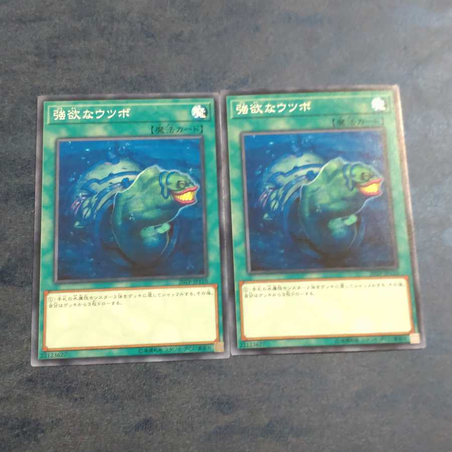 強欲なウツボ✕2 ノーマル 【木林堂】