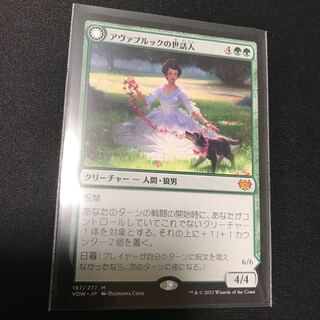 アヴァブルックの世話人