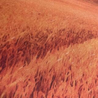 ダークライフ/ブルンランブル