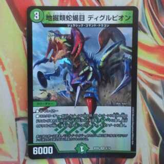 地掘類蛇蝎目 ディグルピオン