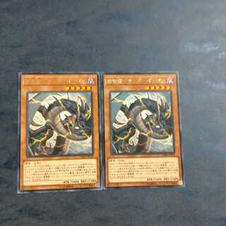 雷電龍-サンダー・ドラゴン✕２　【木林堂】