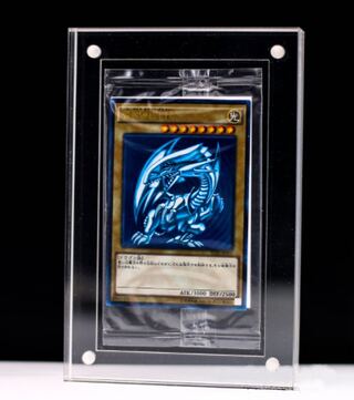 1 magnetic screw down Display case