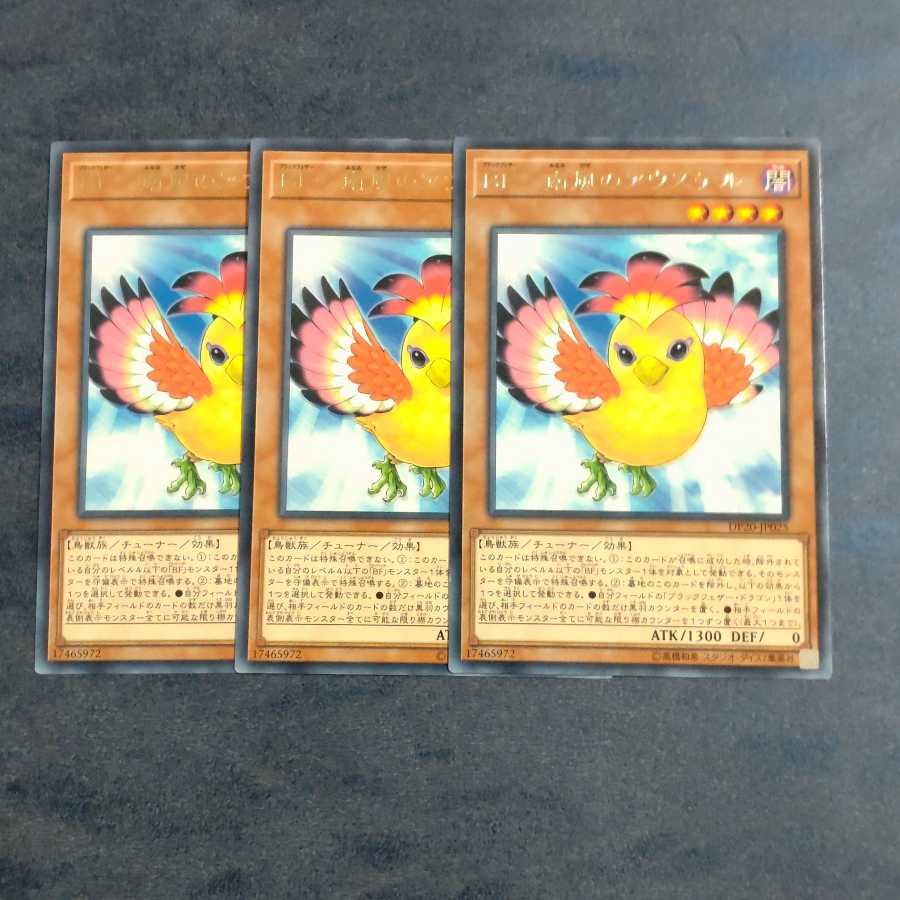 BF-南風のアウステル✕3 レア 【木林堂】