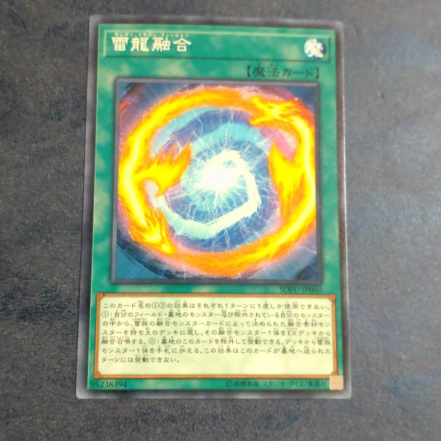 雷龍融合 ノーマル 【木林堂】