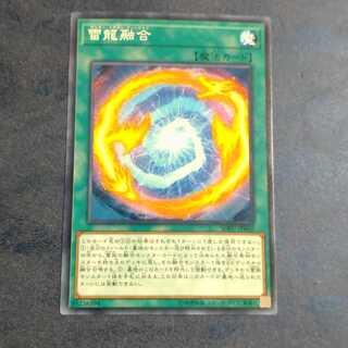 雷龍融合 ノーマル　　【木林堂】