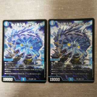 水上第九院 シャコガイル