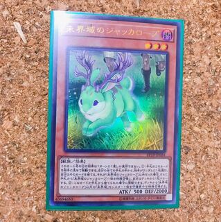 専用 未界域のジャッカロープ UR