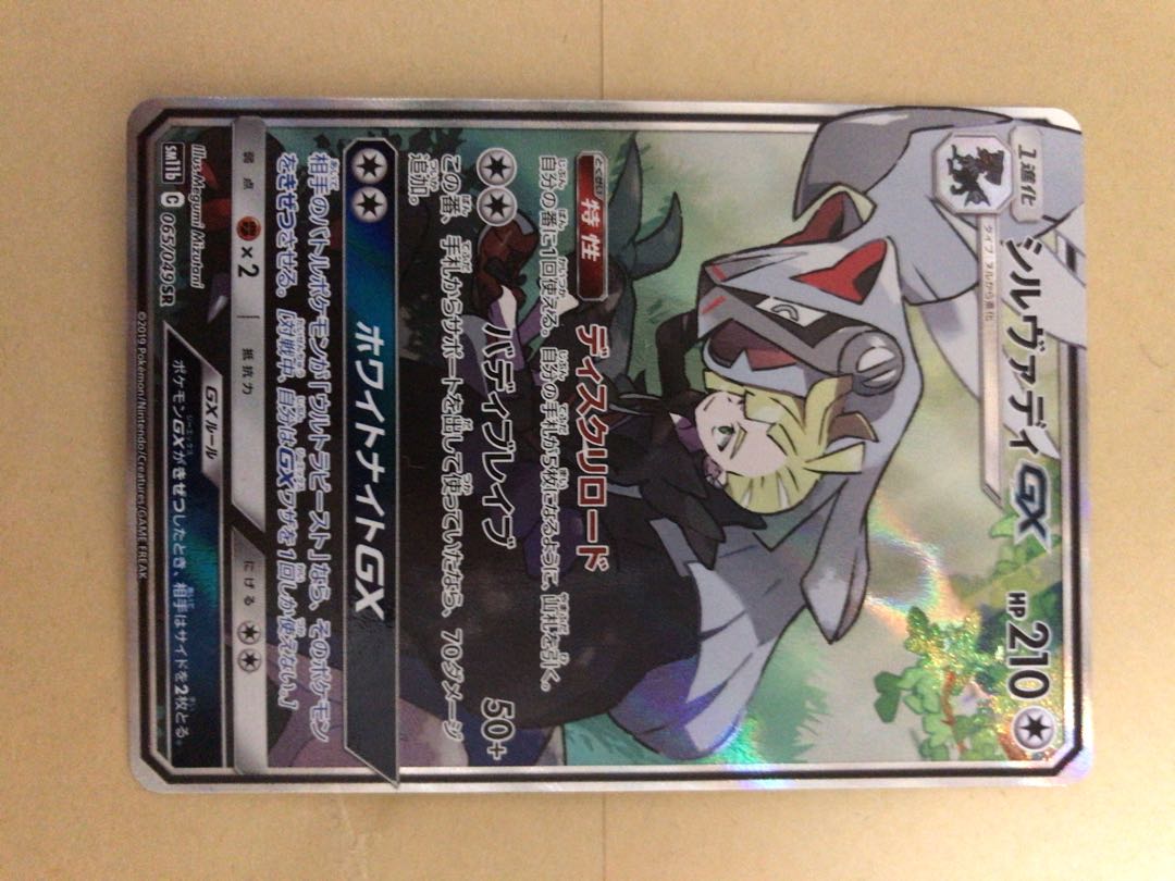 シルヴァディGX SA