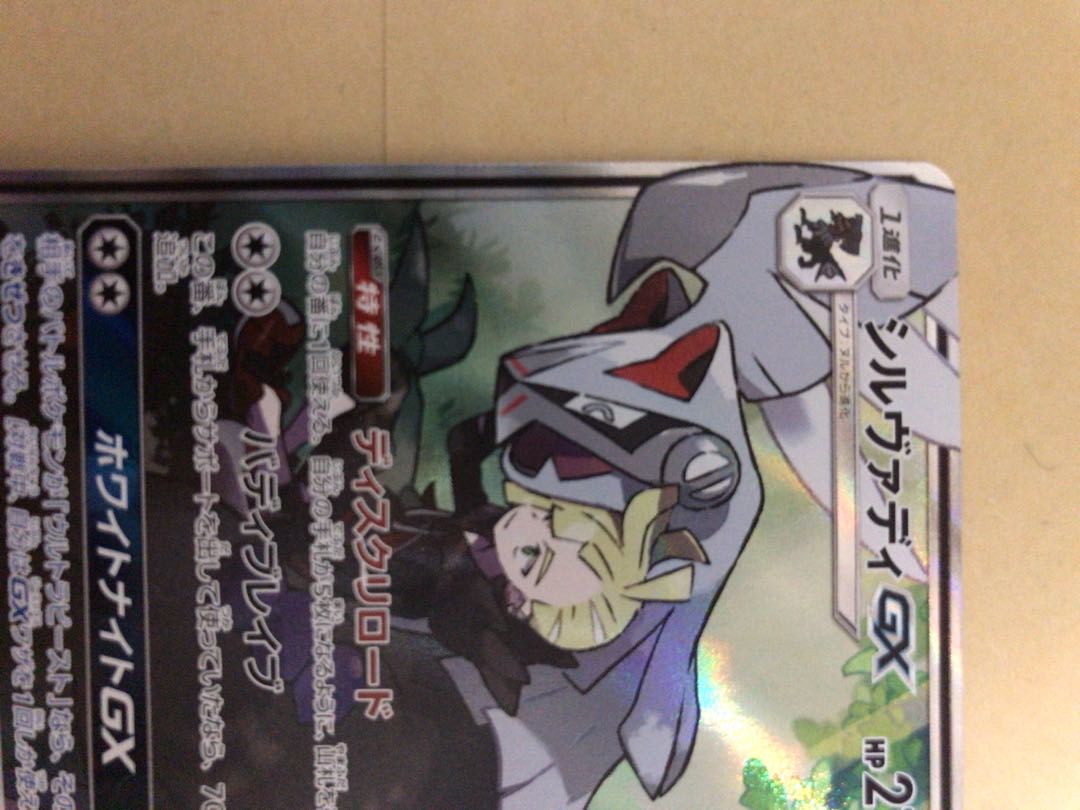 シルヴァディGX SA