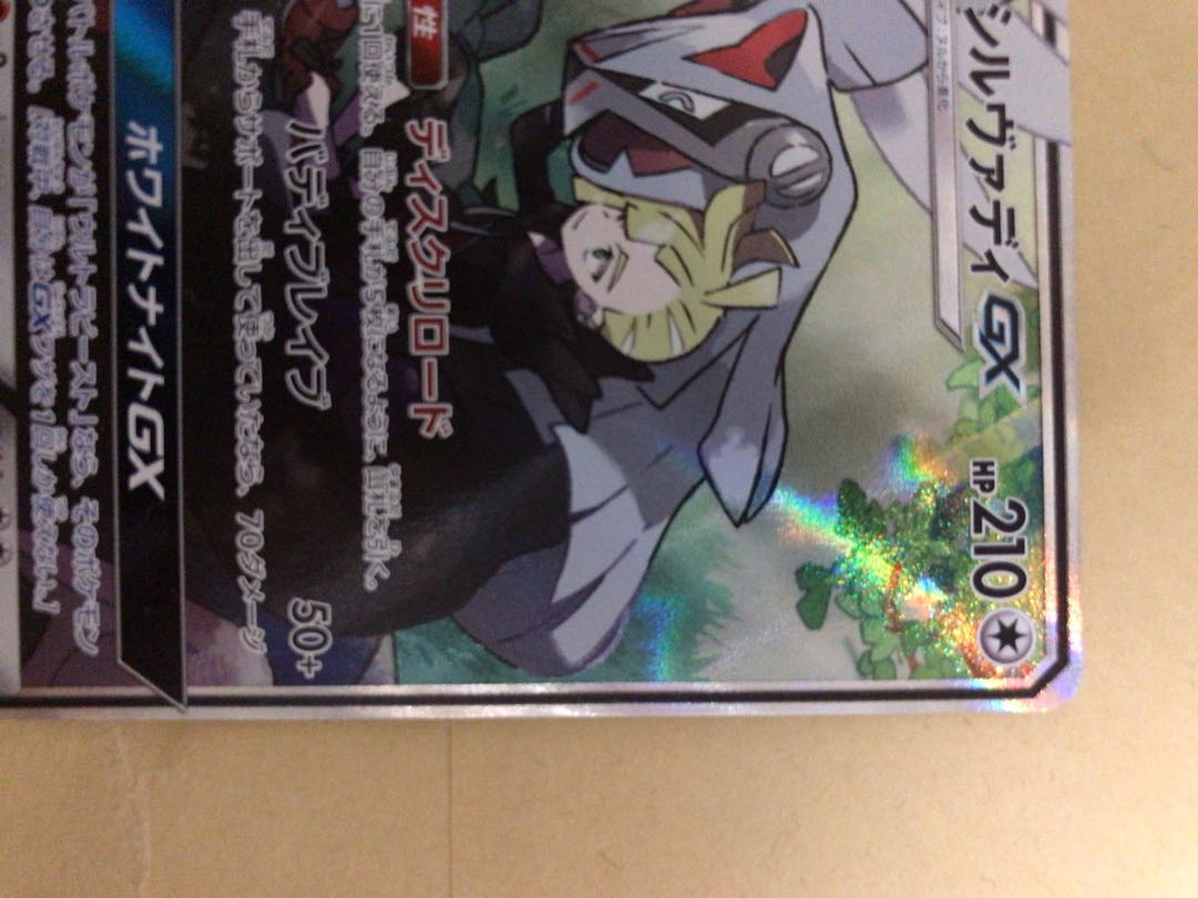 シルヴァディGX SA