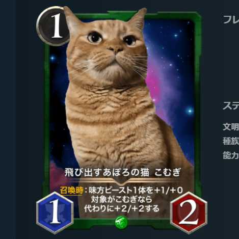 飛び出すあぽろの猫 こむぎ