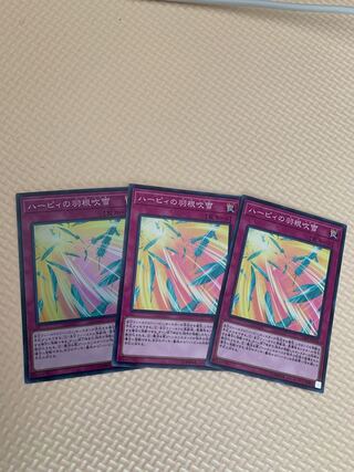 ハーピィの羽根吹雪　3枚　