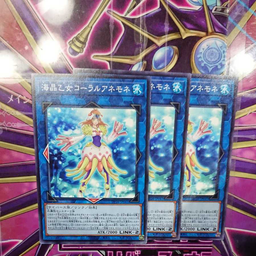 海晶乙女コーラルアネモネ ノーマル