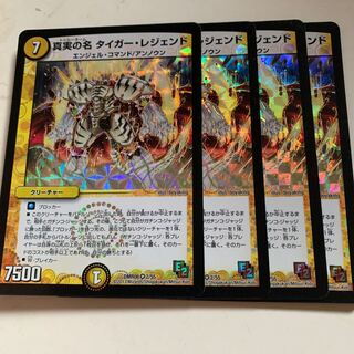 真実の名 タイガー・レジェンド