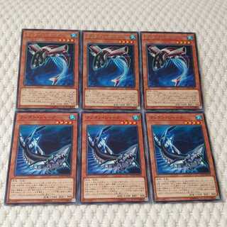 カッター・シャーク　ランタン・シャーク