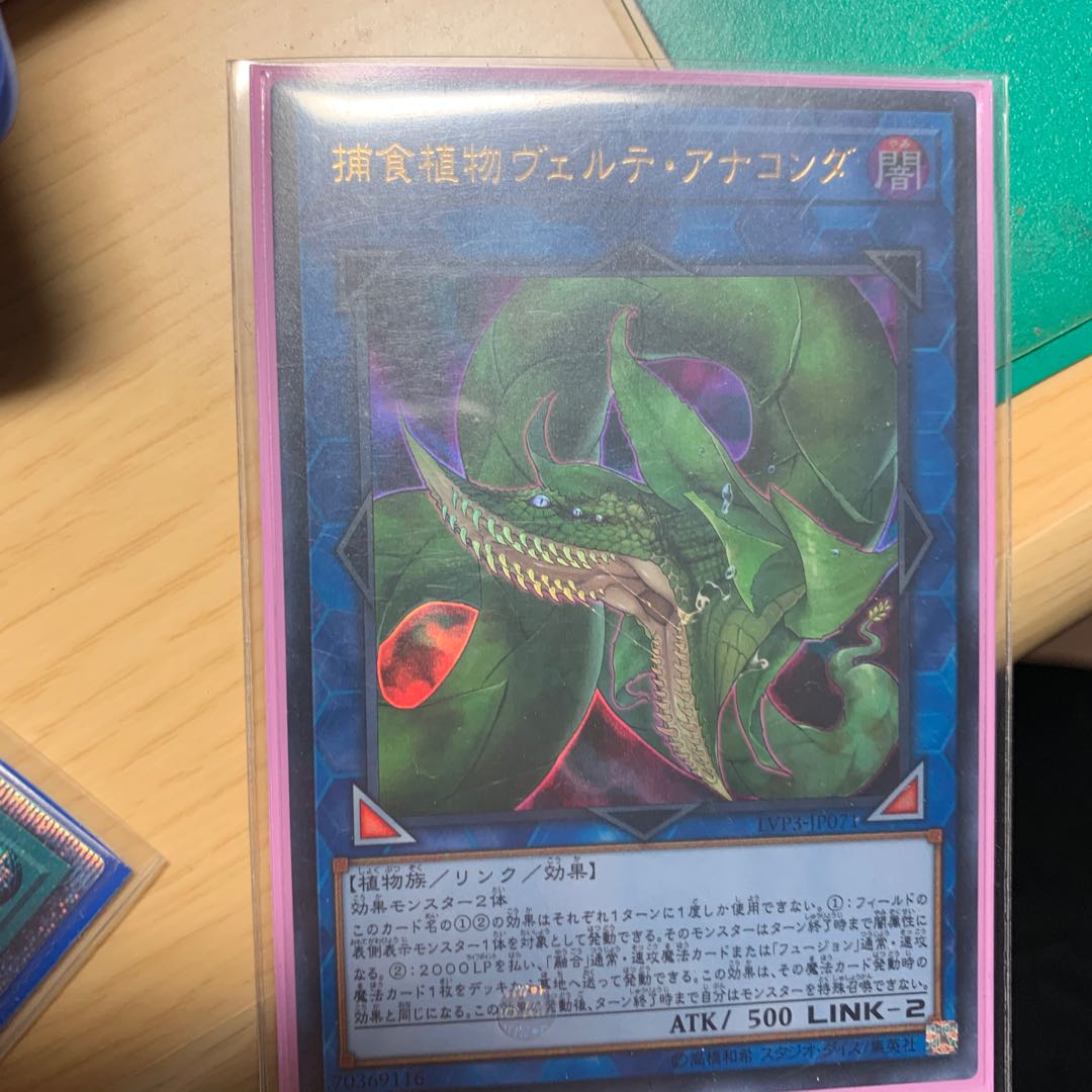 捕食植物ヴェルテ・アナコンダ