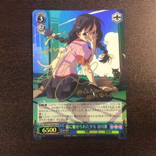 （微キズ）猫に魅せられた少女　羽川翼　SP　サイン