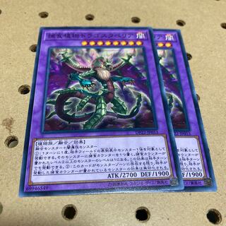 捕食植物ドラゴスタペリア ノーマル 2枚