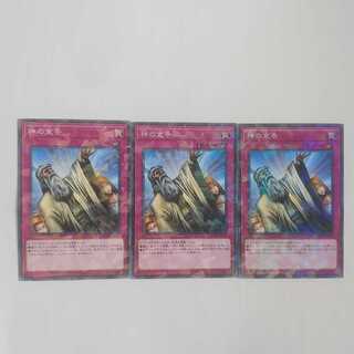 282 神の宣告 3枚 鮭イクラ商店